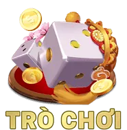 Bóng rổ